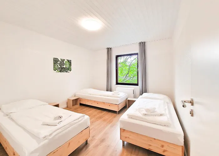 Tolstov - 1-3 Monteur *