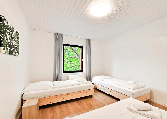 Tolstov - 1-3 Monteur *